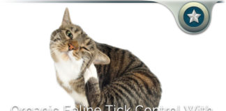 Diatomaceous Earth Organic Feline Tick Control – How It Works?