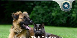 Diatomaceous Earth Backyard Organic Tick Control – How It Works?