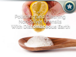 Polishing-and-Cleaning-Non-Silver-Utensils-With-Diatomaceous-Earth