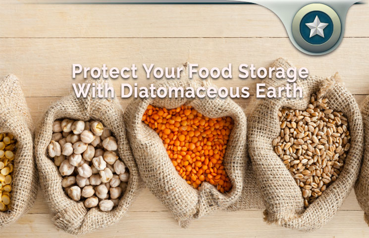 Protect Your Food Storage With Diatomaceous Earth