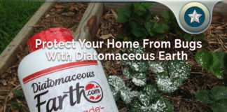 Protect Your Home From Bugs With Diatomaceous Earth Protect-Your-Home-From-Bugs-With-Diatomaceous-Earth