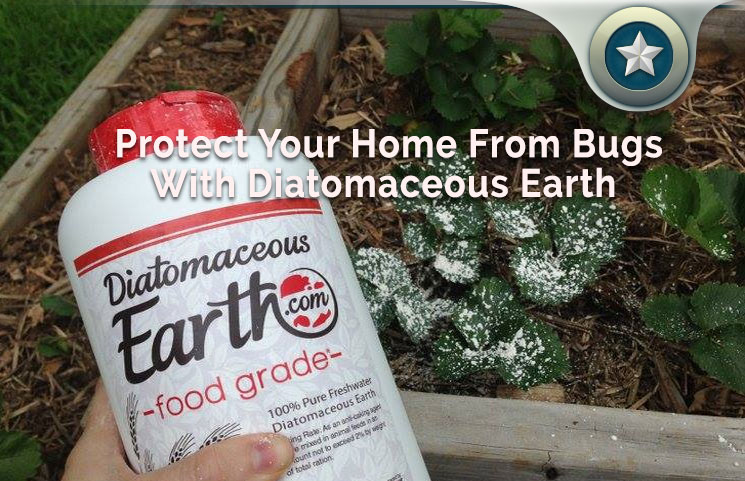 Protect-Your-Home-From-Bugs-With-Diatomaceous-Earth