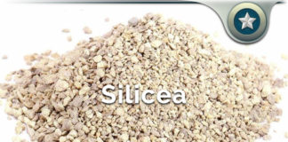 Silicea – Homeopathic Silica & Silicic Acid Healing Benefits? Silicea