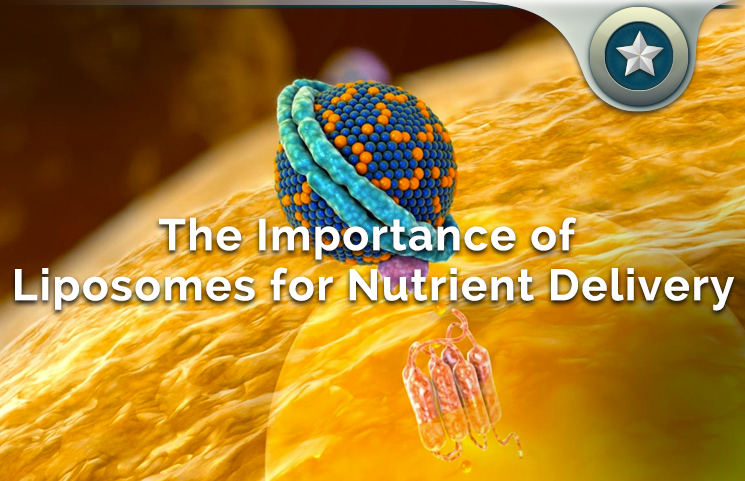 Liposomes Nutrient Delivery