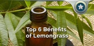 Top 6 Lemongrass Essential Oil Health Benefits – Real Effects? Top 6 Lemongrass Essential Oil Health Benefits