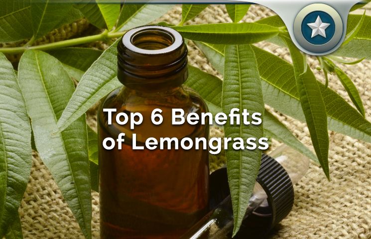 Top 6 Lemongrass Essential Oil Health Benefits