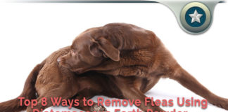 Top 8 Ways to Remove Fleas Naturally Using Diatomaceous Earth Powder