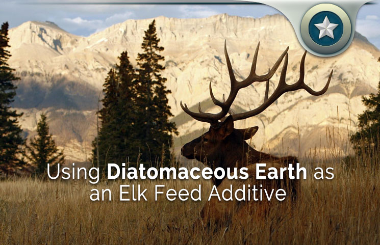 Using-Diatomaceous-Earth-as-an-Elk-Feed-Additive