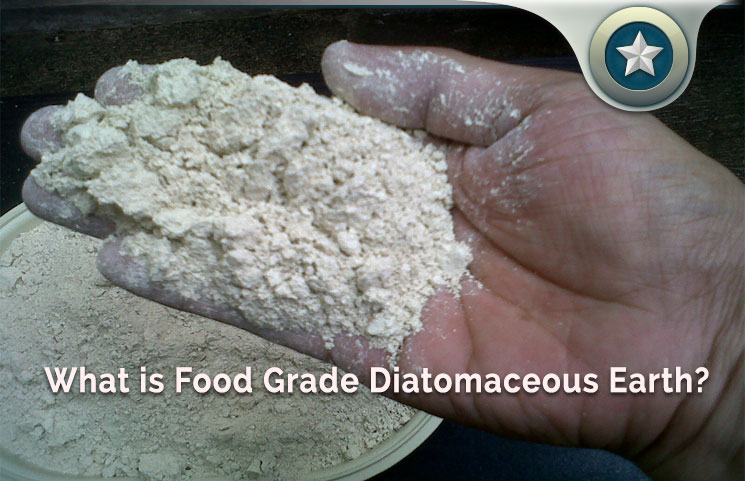 What is Food Grade Diatomaceous Earth