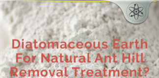 Diatomaceous Earth Natural Ant Hill Treatment – Does It Work? diatomaceous earth ant hill remedy