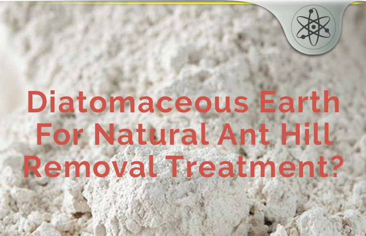 diatomaceous earth ant hill remedy