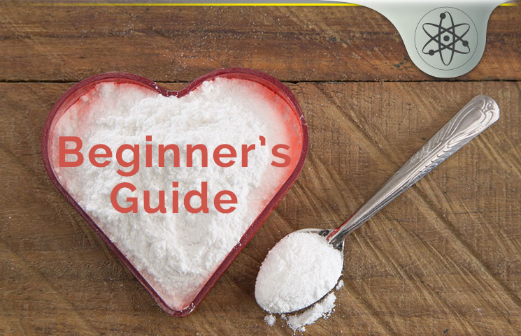 beginners guide to diatomaceous earth