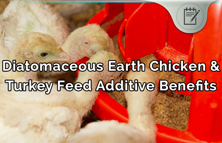 diatomaceous-earth-chicken-turkey-feed