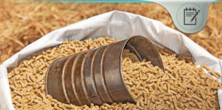 Diatomaceous Earth Horse Feed Additive – Helpful Benefits? diatomaceous-earth-horse-feed