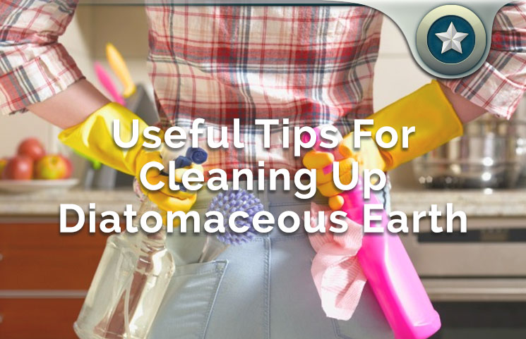 useful tips for cleaning up diatomaceous earth