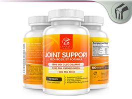 Zenwise Labs Advanced Joint Support