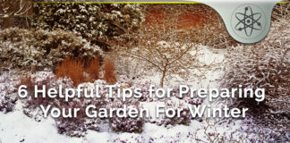 6 Helpful Garden Preparation Tips For Healthy Winter Maintenance 6 Helpful Tips for Preparing Your Garden For Winter