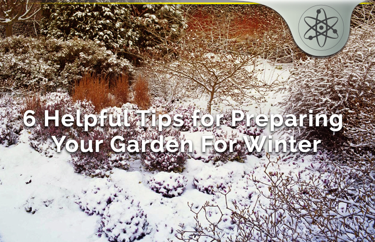 6 Helpful Tips for Preparing Your Garden For Winter