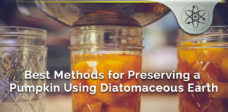 Best Methods for Preserving a Pumpkin Using Diatomaceous Earth Best Methods for Preserving a Pumpkin Using Diatomaceous Earth
