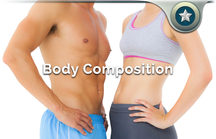 Body Composition
