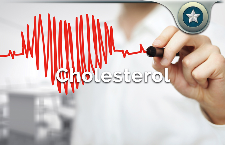 how body makes cholesterol production