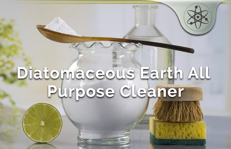 Diatomaceous Earth All Purpose Cleaner