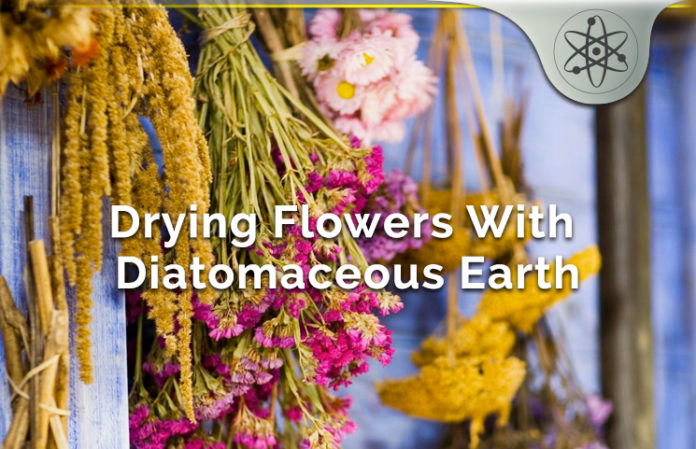 Diatomaceous Earth Dries Flowers