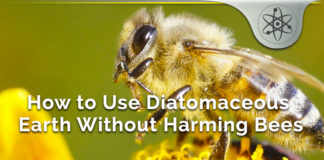 How to Use Diatomaceous Earth Without Harming Bees How to Use Diatomaceous Earth Without Harming Bees