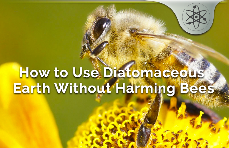How to Use Diatomaceous Earth Without Harming Bees