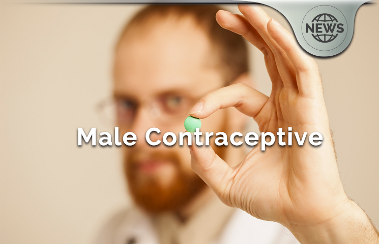 Male Contraceptive Gel Monkey Trials