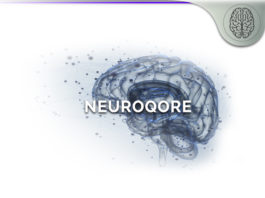 neuroqore