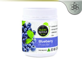 Super Sprout Blueberry Powder