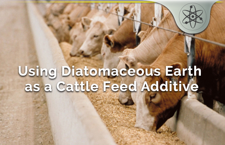 diatomaceous earth Cattle Feed Additive