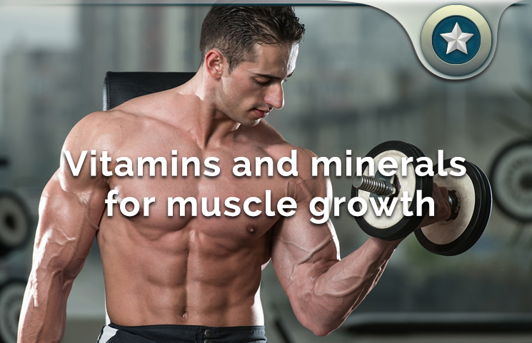 vitamins and minerals muscle growth