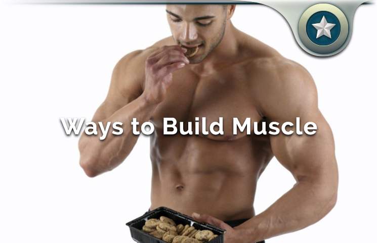 build lean muscle mass growth