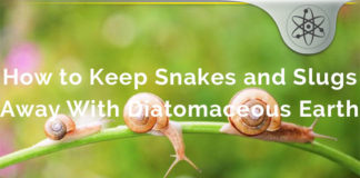 How to Keep Snakes and Slugs Away With Diatomaceous Earth diatomaceous-earth-snakes-slugs-defense