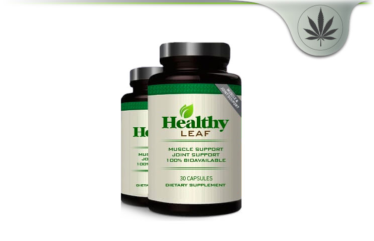 Healthy Leaf