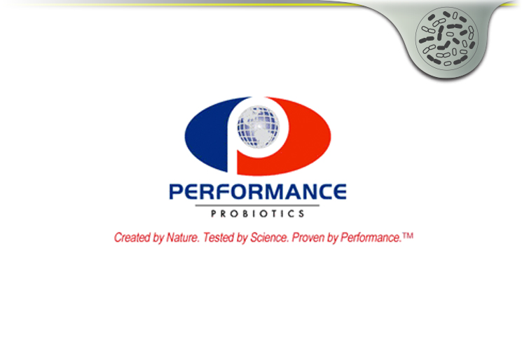 Performance Probiotic