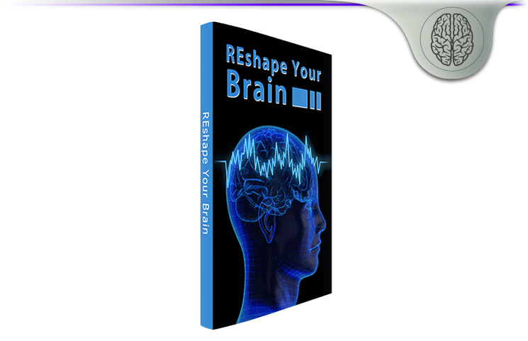 Reshape Your Brain System