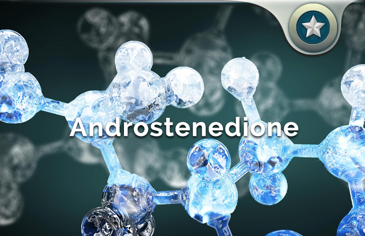 What Is Androstenedione?