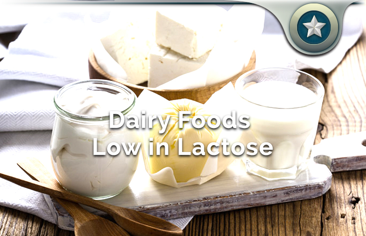 low lactose dairy foods