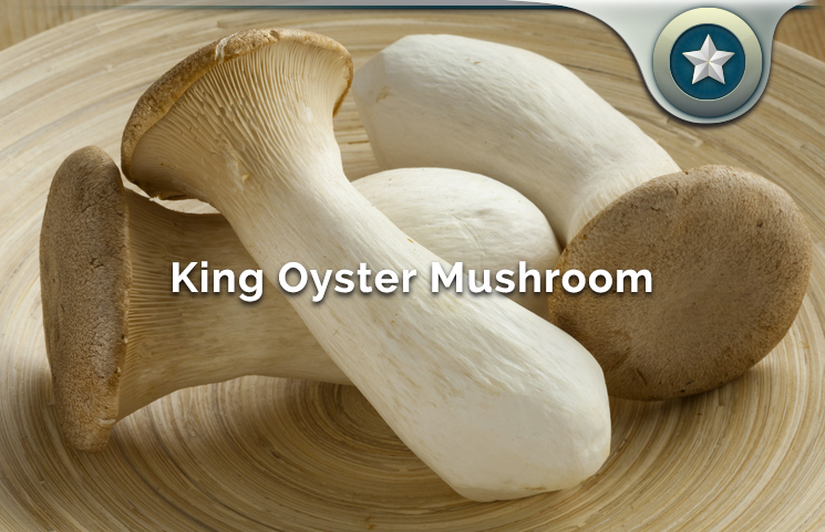 King Oyster Mushroom