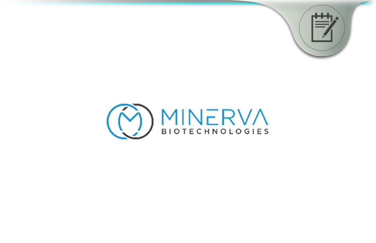 Minerva Biotechnologies