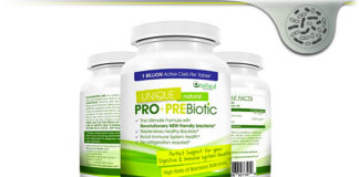 Synbiotics – Natural Unique Prebiotics & Probiotics Supplement? Synbiotics