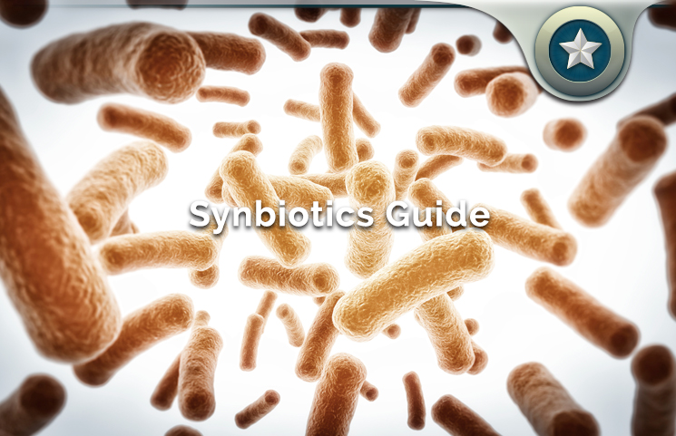 Synbiotics (Probiotics & Prebiotics) Review How They