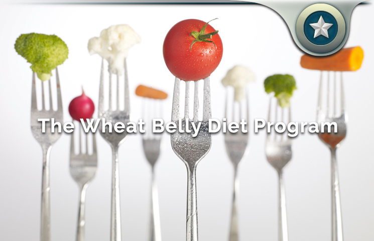 The Wheat Belly Diet Program