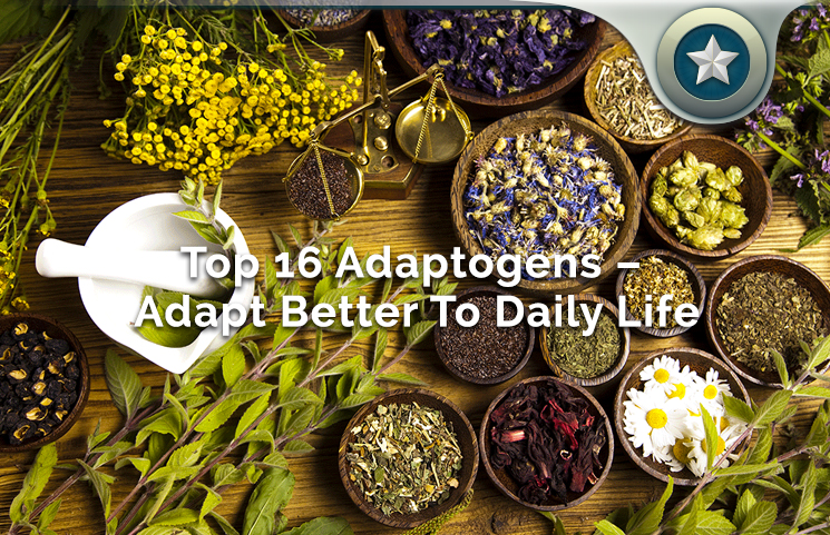 Adaptogens