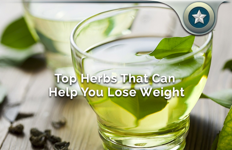 Top Herbs That Can Help You Lose Weight & Burn Fat Fast Naturally