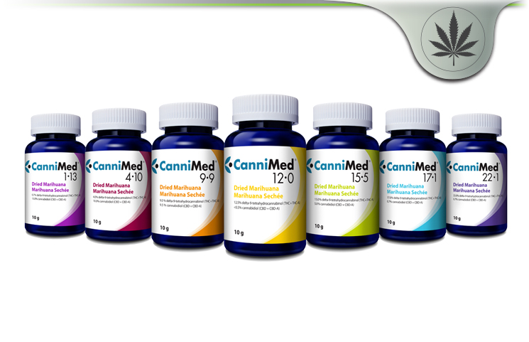 CANNIMED Review
