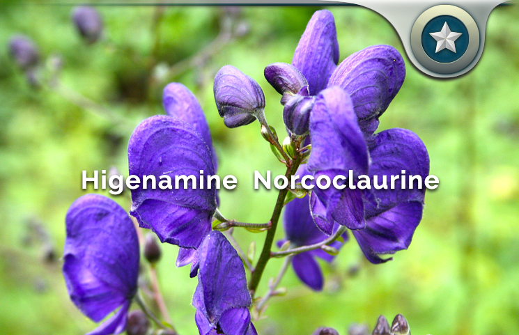 Higenamine Norcoclaurine